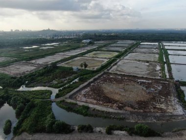 Kuching, Sarawak / Malezya - 1 Şubat 2020: Malezya 'da bir balıkçılık ve karides çiftliğinin havadan görünüşü