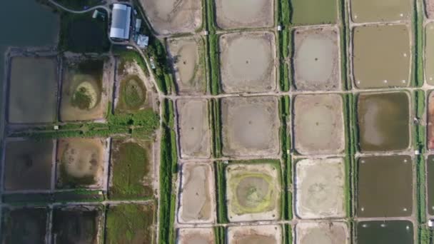 Kuching Sarawak Malaysia February 2020 Aerial View Fishery Prawn Farm — Stock Video