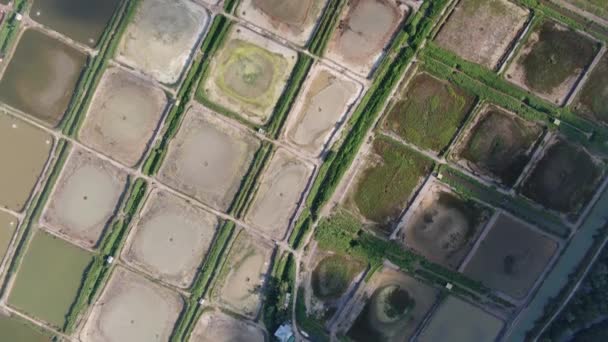 Kuching Sarawak Malaysia February 2020 Aerial View Fisheries Prawn Farm — 图库视频影像