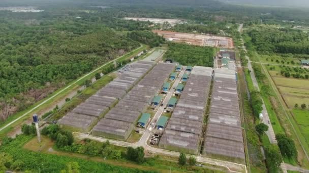 Kuching Sarawak Malásia Fevereiro 2020 Vista Aérea Casas Verdes Fazendas — Vídeo de Stock