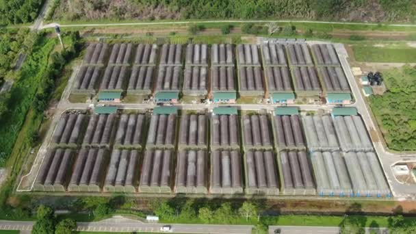 Kuching Sarawak Malaysia February 2020 Aerial View Green Houses Vegetable — 图库视频影像