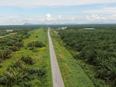 Sarawak 'taki Palm Oil Konutları, Borneo Adası, Malezya