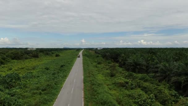 Sarawak Taki Palm Oil Konutları Borneo Adası Malezya — Stok video