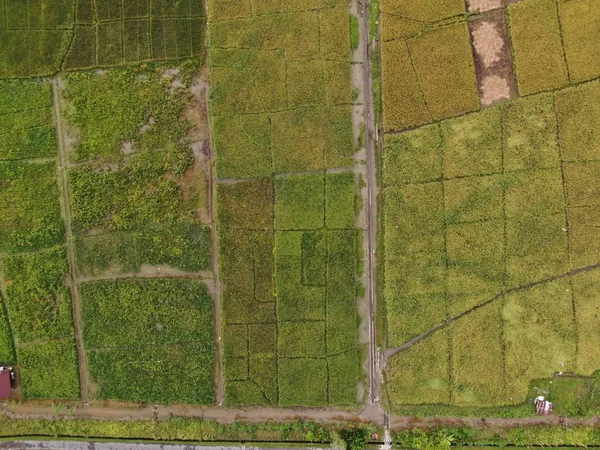 Kuching Sarawak Malásia Fevereiro 2020 Uma Visão Aérea Cima Para — Fotografia de Stock