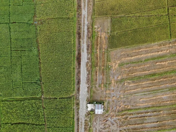 Kuching Sarawak Malasia Febrero 2020 Una Vista Aérea Arriba Hacia — Foto de Stock