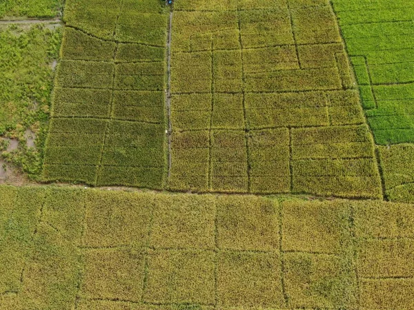 Kuching Sarawak Malásia Fevereiro 2020 Uma Visão Aérea Cima Para — Fotografia de Stock