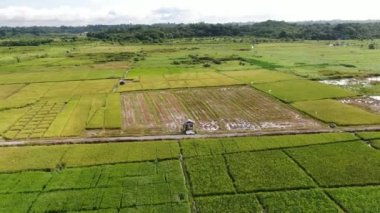 Kuching, Sarawak / Malezya - 11 Şubat 2020: Çiftçilerin çalıştığı bir çeltik tarlasının yukarıdan aşağı havadan görünüşü. Skuduk Köyü, Sarawak, Malezya. Bir çeltik tarlası, kulübeler, ağaçlar ve çiftçilerin genel manzarası..