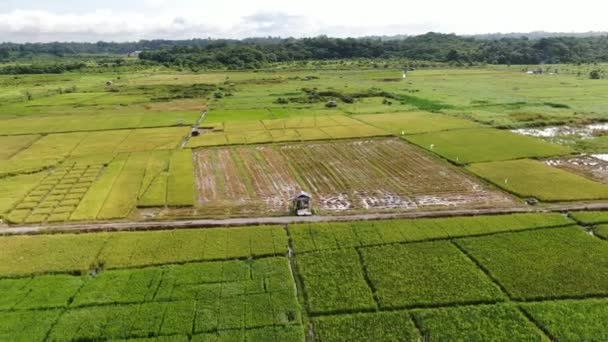 Kuching, Sarawak / Malaisie - 11 février 2020 : Vue aérienne de haut en bas d'une rizière avec des agriculteurs au travail. Situé dans le village de Skuduk, Sarawak, Malaisie.Paysage général d'une rizière, cabanes, arbres et agriculteurs .