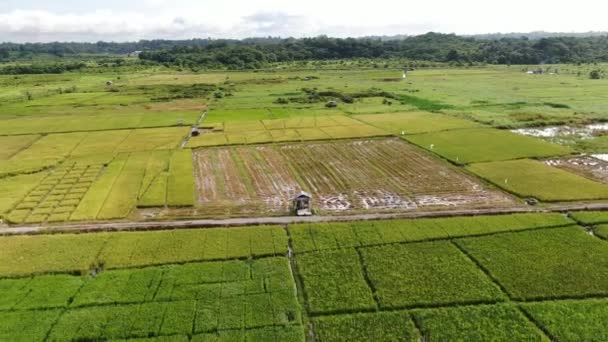 Kuching Sarawak Malaysia February 2020 Top Aerial View Addy Field — 图库视频影像