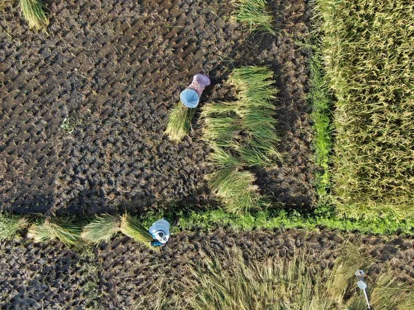 Kuching Sarawak Malásia Fevereiro 2020 Uma Visão Aérea Cima Para — Fotografia de Stock