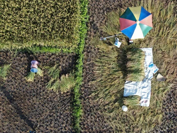 Kuching Sarawak Malásia Fevereiro 2020 Uma Visão Aérea Cima Para — Fotografia de Stock