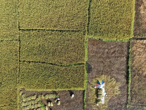 Kuching Sarawak Maleisië Februari 2020 Een Top Luchtfoto Van Een — Stockfoto