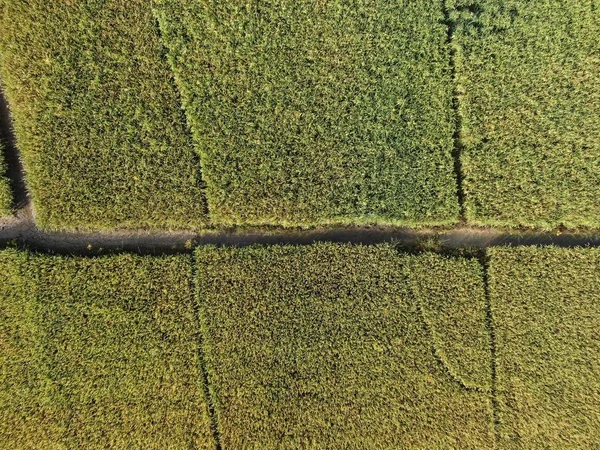 Kuching Sarawak Malásia Fevereiro 2020 Uma Visão Aérea Cima Para — Fotografia de Stock