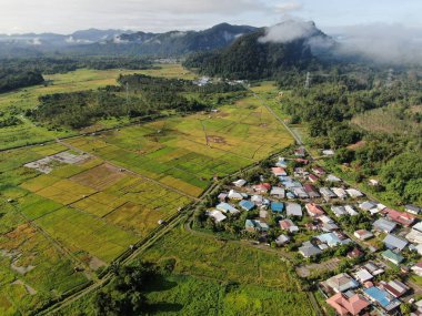 Kuching, Sarawak / Malezya - 11 Şubat 2020: Çiftçilerin çalıştığı bir çeltik tarlasının yukarıdan aşağı havadan görünüşü. Skuduk Köyü, Sarawak, Malezya. Bir çeltik tarlası, kulübeler, ağaçlar ve çiftçilerin genel manzarası..