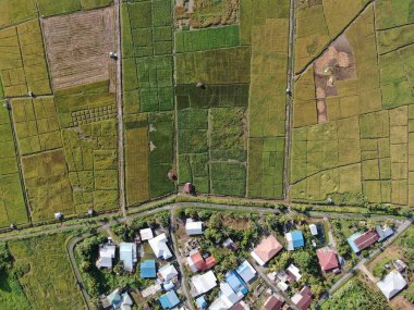 Kuching, Sarawak / Malezya - 11 Şubat 2020: Çiftçilerin çalıştığı bir çeltik tarlasının yukarıdan aşağı havadan görünüşü. Skuduk Köyü, Sarawak, Malezya. Bir çeltik tarlası, kulübeler, ağaçlar ve çiftçilerin genel manzarası..