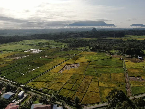 Kuching Sarawak Malaysia Лютого 2020 Поверхня Знизу Вигляд Поля Фермерами — стокове фото