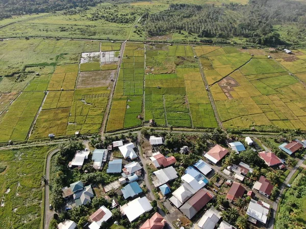 Kuching Sarawak Malaysia February 2020 Top Aerial View Paddy Field — Stock Photo, Image