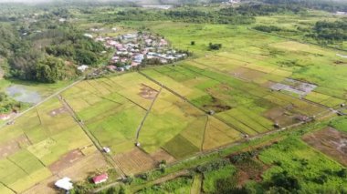 Kuching, Sarawak / Malezya - 11 Şubat 2020: Çiftçilerin çalıştığı bir çeltik tarlasının yukarıdan aşağı havadan görünüşü. Skuduk Köyü, Sarawak, Malezya. Bir çeltik tarlası, kulübeler, ağaçlar ve çiftçilerin genel manzarası..