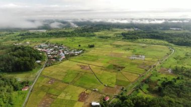 Kuching, Sarawak / Malezya - 11 Şubat 2020: Çiftçilerin çalıştığı bir çeltik tarlasının yukarıdan aşağı havadan görünüşü. Skuduk Köyü, Sarawak, Malezya. Bir çeltik tarlası, kulübeler, ağaçlar ve çiftçilerin genel manzarası..