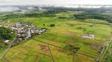 Kuching, Sarawak / Malezya - 11 Şubat 2020: Çiftçilerin çalıştığı bir çeltik tarlasının yukarıdan aşağı havadan görünüşü. Skuduk Köyü, Sarawak, Malezya. Bir çeltik tarlası, kulübeler, ağaçlar ve çiftçilerin genel manzarası..