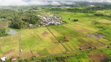Kuching, Sarawak / Malezya - 11 Şubat 2020: Çiftçilerin çalıştığı bir çeltik tarlasının yukarıdan aşağı havadan görünüşü. Skuduk Köyü, Sarawak, Malezya. Bir çeltik tarlası, kulübeler, ağaçlar ve çiftçilerin genel manzarası..
