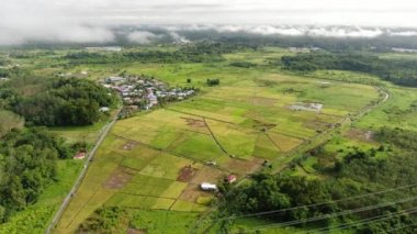 Kuching, Sarawak / Malezya - 11 Şubat 2020: Çiftçilerin çalıştığı bir çeltik tarlasının yukarıdan aşağı havadan görünüşü. Skuduk Köyü, Sarawak, Malezya. Bir çeltik tarlası, kulübeler, ağaçlar ve çiftçilerin genel manzarası..