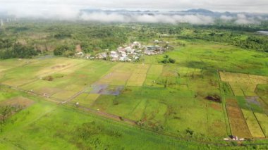 Kuching, Sarawak / Malezya - 11 Şubat 2020: Çiftçilerin çalıştığı bir çeltik tarlasının yukarıdan aşağı havadan görünüşü. Skuduk Köyü, Sarawak, Malezya. Bir çeltik tarlası, kulübeler, ağaçlar ve çiftçilerin genel manzarası..