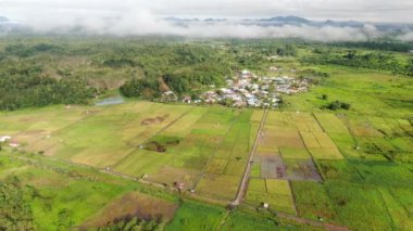 Kuching, Sarawak / Malezya - 11 Şubat 2020: Çiftçilerin çalıştığı bir çeltik tarlasının yukarıdan aşağı havadan görünüşü. Skuduk Köyü, Sarawak, Malezya. Bir çeltik tarlası, kulübeler, ağaçlar ve çiftçilerin genel manzarası..