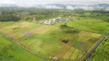 Kuching, Sarawak / Malezya - 11 Şubat 2020: Çiftçilerin çalıştığı bir çeltik tarlasının yukarıdan aşağı havadan görünüşü. Skuduk Köyü, Sarawak, Malezya. Bir çeltik tarlası, kulübeler, ağaçlar ve çiftçilerin genel manzarası..
