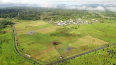 Kuching, Sarawak / Malezya - 11 Şubat 2020: Çiftçilerin çalıştığı bir çeltik tarlasının yukarıdan aşağı havadan görünüşü. Skuduk Köyü, Sarawak, Malezya. Bir çeltik tarlası, kulübeler, ağaçlar ve çiftçilerin genel manzarası..