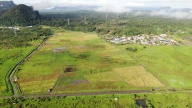 Kuching, Sarawak / Malezya - 11 Şubat 2020: Çiftçilerin çalıştığı bir çeltik tarlasının yukarıdan aşağı havadan görünüşü. Skuduk Köyü, Sarawak, Malezya. Bir çeltik tarlası, kulübeler, ağaçlar ve çiftçilerin genel manzarası..