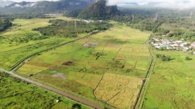 Kuching, Sarawak / Malezya - 11 Şubat 2020: Çiftçilerin çalıştığı bir çeltik tarlasının yukarıdan aşağı havadan görünüşü. Skuduk Köyü, Sarawak, Malezya. Bir çeltik tarlası, kulübeler, ağaçlar ve çiftçilerin genel manzarası..