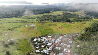 Kuching, Sarawak / Malezya - 11 Şubat 2020: Çiftçilerin çalıştığı bir çeltik tarlasının yukarıdan aşağı havadan görünüşü. Skuduk Köyü, Sarawak, Malezya. Bir çeltik tarlası, kulübeler, ağaçlar ve çiftçilerin genel manzarası..