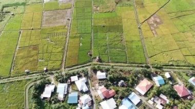 Kuching, Sarawak / Malezya - 11 Şubat 2020: Çiftçilerin çalıştığı bir çeltik tarlasının yukarıdan aşağı havadan görünüşü. Skuduk Köyü, Sarawak, Malezya. Bir çeltik tarlası, kulübeler, ağaçlar ve çiftçilerin genel manzarası..