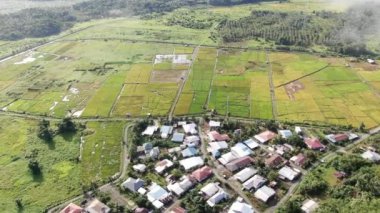Kuching, Sarawak / Malezya - 11 Şubat 2020: Çiftçilerin çalıştığı bir çeltik tarlasının yukarıdan aşağı havadan görünüşü. Skuduk Köyü, Sarawak, Malezya. Bir çeltik tarlası, kulübeler, ağaçlar ve çiftçilerin genel manzarası..