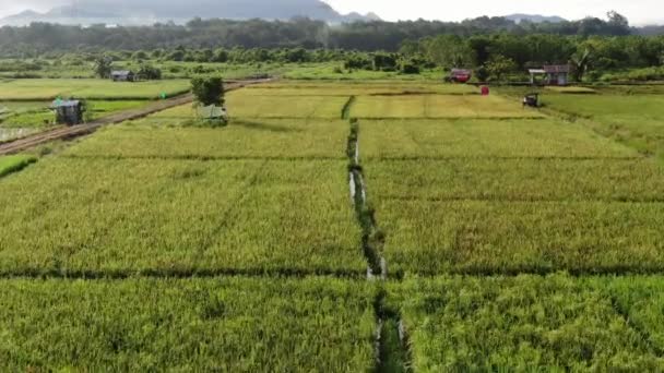 Kuching Sarawak Maleisië Februari 2020 Een Top Luchtfoto Van Een — Stockvideo