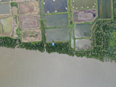 Kuching, Sarawak / Malezya - 15 Mart 2020: Malezya 'da bir balıkçılık ve karides çiftliğinin havadan görünüşü