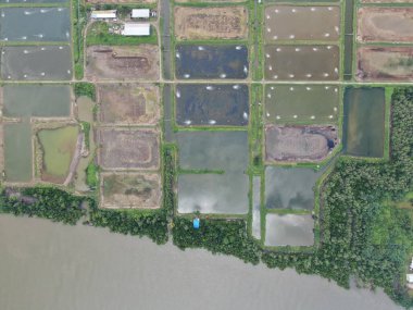 Kuching, Sarawak / Malezya - 15 Mart 2020: Malezya 'da bir balıkçılık ve karides çiftliğinin havadan görünüşü