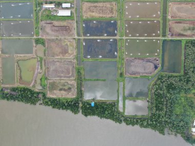 Kuching, Sarawak / Malezya - 15 Mart 2020: Malezya 'da bir balıkçılık ve karides çiftliğinin havadan görünüşü