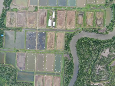 Kuching, Sarawak / Malezya - 15 Mart 2020: Malezya 'da bir balıkçılık ve karides çiftliğinin havadan görünüşü