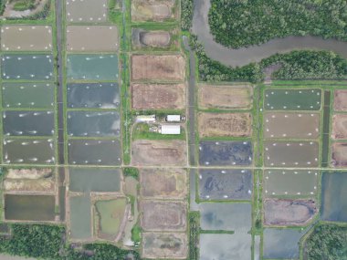 Kuching, Sarawak / Malezya - 15 Mart 2020: Malezya 'da bir balıkçılık ve karides çiftliğinin havadan görünüşü