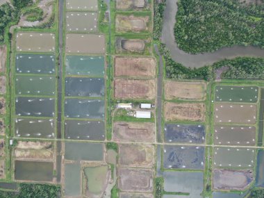 Kuching, Sarawak / Malezya - 15 Mart 2020: Malezya 'da bir balıkçılık ve karides çiftliğinin havadan görünüşü