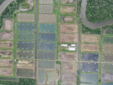 Kuching, Sarawak / Malezya - 15 Mart 2020: Malezya 'da bir balıkçılık ve karides çiftliğinin havadan görünüşü