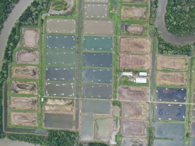 Kuching, Sarawak / Malezya - 15 Mart 2020: Malezya 'da bir balıkçılık ve karides çiftliğinin havadan görünüşü