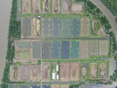 Kuching, Sarawak / Malezya - 15 Mart 2020: Malezya 'da bir balıkçılık ve karides çiftliğinin havadan görünüşü