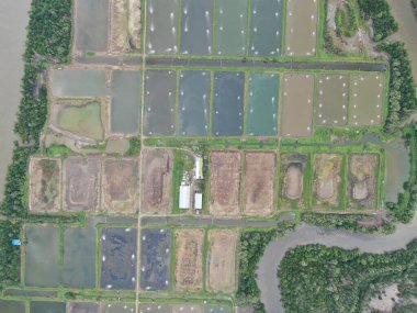 Kuching, Sarawak / Malezya - 15 Mart 2020: Malezya 'da bir balıkçılık ve karides çiftliğinin havadan görünüşü