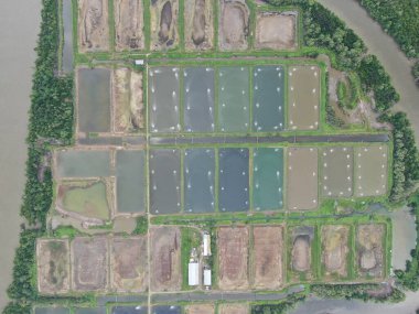 Kuching, Sarawak / Malezya - 15 Mart 2020: Malezya 'da bir balıkçılık ve karides çiftliğinin havadan görünüşü