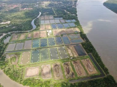 Kuching, Sarawak / Malezya - 15 Mart 2020: Malezya 'da bir balıkçılık ve karides çiftliğinin havadan görünüşü
