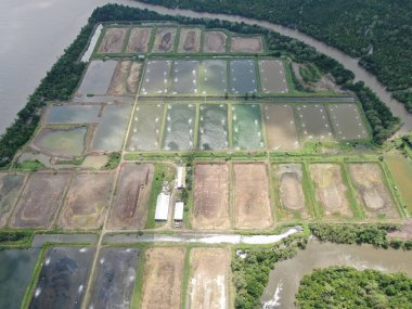 Kuching, Sarawak / Malezya - 15 Mart 2020: Malezya 'da bir balıkçılık ve karides çiftliğinin havadan görünüşü