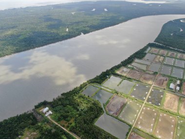 Kuching, Sarawak / Malezya - 15 Mart 2020: Malezya 'da bir balıkçılık ve karides çiftliğinin havadan görünüşü